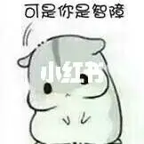 양산시 한국어 온라인 카지노